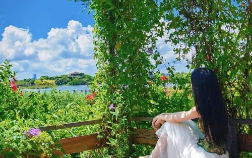 강주아오 대교 & 망저우 습지 공원 전일 개인 전세 투어