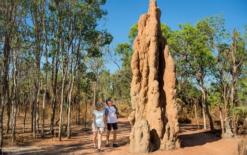 Litchfield National Park Tours
