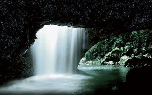 Glow Worm Tour Gold Coast med japansktalande guide