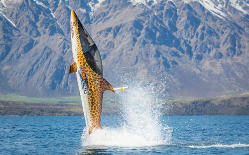 Hydro Attack Shark Ride Queenstown