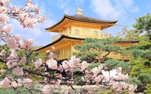 Kyoto and Nara Day Tour(Optional upgrade to Wagyu “Kobe Beef” lunch)