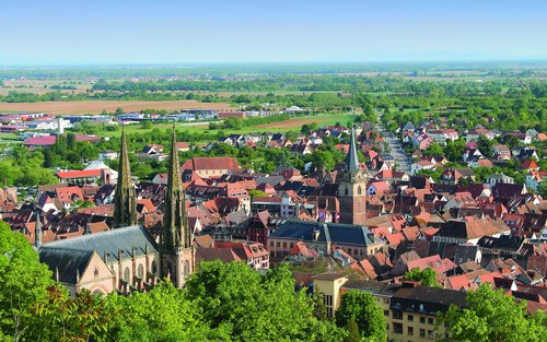 从斯特拉斯堡出发的阿尔萨斯葡萄园之旅