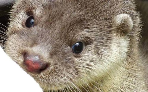 金门金城民防坑道半日游