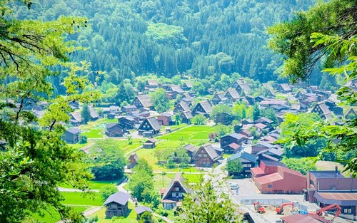 白川乡 & 高山村世界遗产 & 历史一日游