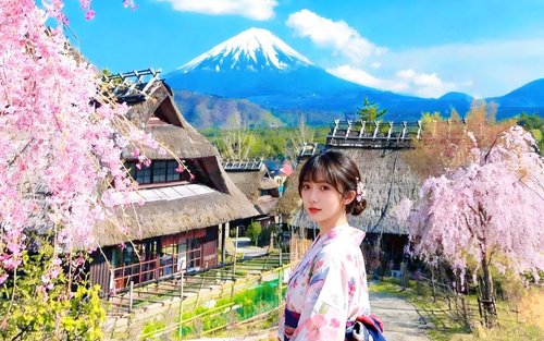 富士山西湖一日遊 : 新倉山淺間公園 & 忍野八海 & 河口湖大石公園 (東京出發 限量贈午餐)