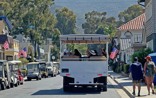 Avalon City Highlights & Mt. Ada Half-Day Guided Tour