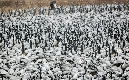 参加从斋沙默尔出发的奇昌和奥西安之旅，含久德浦下车及导游