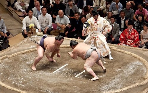 Nagoya Sumo Tournament: Guided Experience with Seat & Ticket