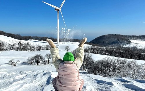 Balwangsan Cable Car from Seoul: Scenic Highland Views&Forest Trails
