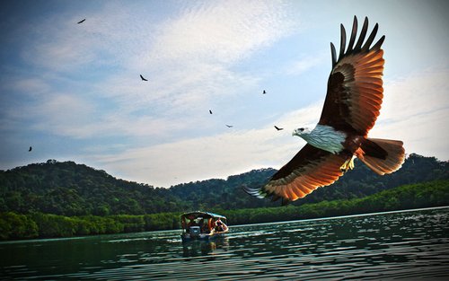 Langkawi Island Hopping Shared Speedboat Tour