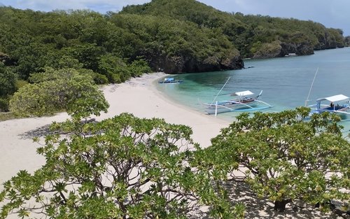 Manila Sepoc Beach Full-Day Marine Life Guided Tour