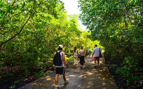 蘭塔島半日生態長尾船之旅