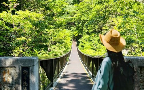 Osaka Amakawa Shrine and Mitarai Valley Full-Day Guided Tour