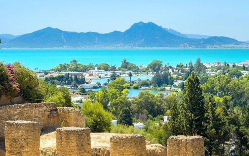 Carthage Discovery Half Day Tour from Tunis