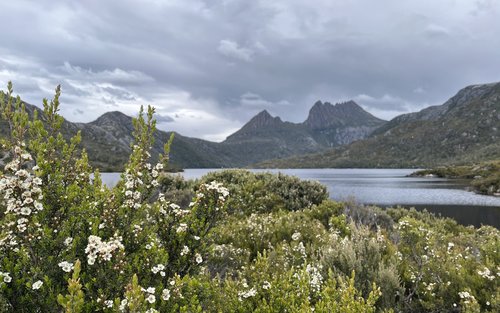 Cradle Mountain Fully Guided Day Tour Departing Launceston