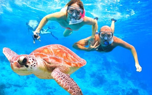 Blue Lagoon Snorkeling & Ubud Highlights Tour With Transfer