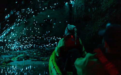 Glow Worm Kayak Tour