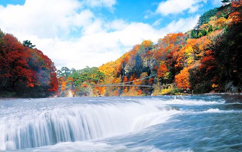 原田農園水果採摘 & 吹割瀑布 & 玉原薰衣草/伊香保溫泉/丹原滑雪一日遊 (東京出發)