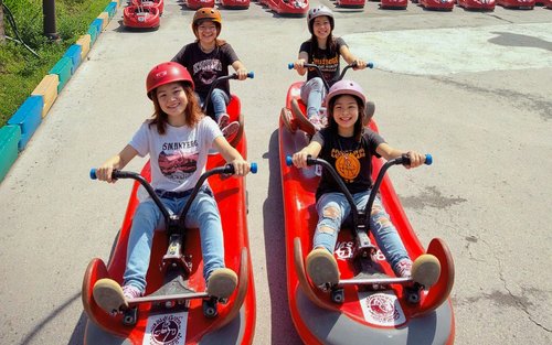 仁川一日游：斜坡滑车、铁路自行车和渡轮体验（含喂海鸥）