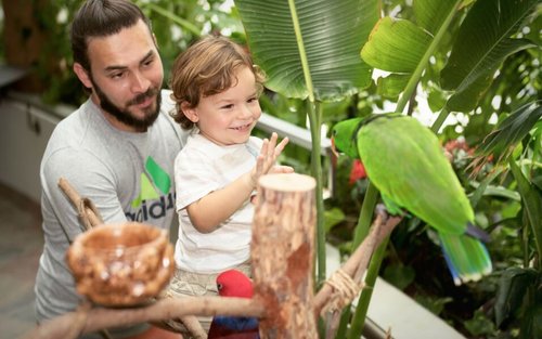 O Bilhete para o Planeta Verde no Dubai