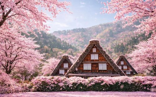 Takayama and Shirakawa-go Day Tour from Nagoya