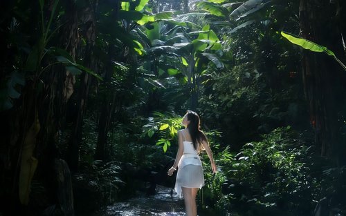 【Privat tur】6-dages tur til Yunnan Xishuangbanna skovens ilthjerte