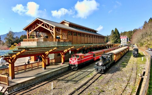 Однодневный тур на Алишань из Тайчжуна, Цзяи или Гаосюна