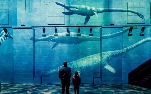 [Antrean Khusus] Tiket Masuk Fabrique des Lumières di Amsterdam