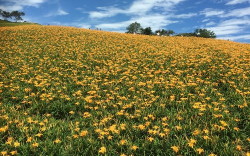Hualien Chike Mountain One-Day Sunset Tour