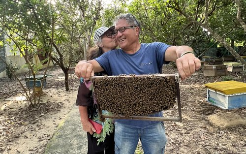 富国北部一日游：独木舟体验、星鱼海滩及 Rach Vem