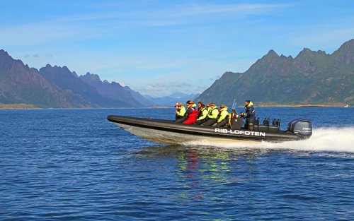 Trollfjord Sea Eagle Safari Boat Tour from Svolvaer