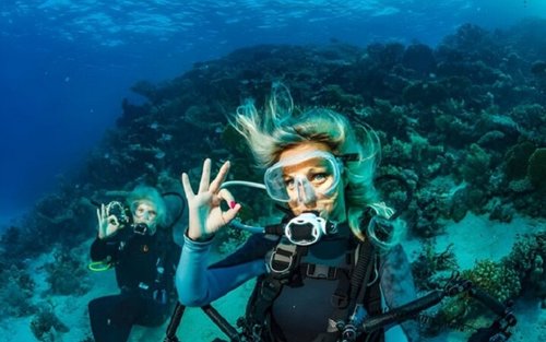 紅海洪加達潛水一日遊（含午餐）- 適合初學者