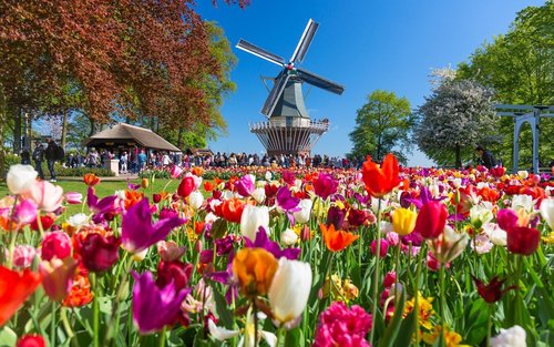 Zaanse Schans and Keukenhof Day Trip from Amsterdam