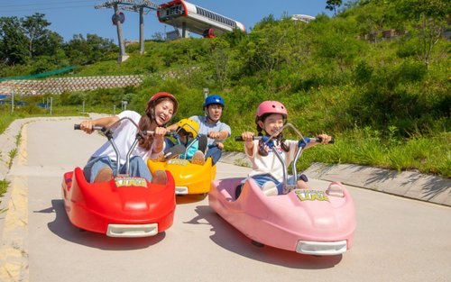 Incheon Day Tour from Seoul: Ganghwado Luge, Railbike, Seagull Ferry