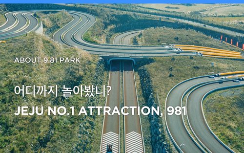 제주 9.81 파크 티켓