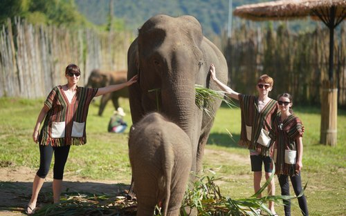 Chiang Mai: National Elephant Care & Rafting/Ziplines& Waterfall Day