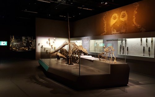บัตรเข้าชมพิพิธภัณฑ์ประวัติศาสตร์ธรรมชาติ หลี่ กง เจียน (Lee Kong Chian Natural History Museum) ในสิงคโปร์