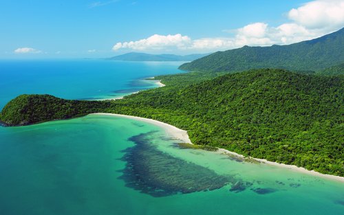 Cape Tribulation and Daintree Wildlife Day Tour from Cairns