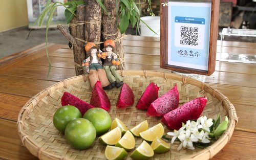 云林｜橙色农作休闲果园四季采果体验券｜需电话预约