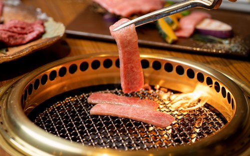 ノンセリュクイック　ジュエリーボール　エルセーヌ エルセーヌNEWノンセリュクイックwithジュエリーボール 【公式通販】