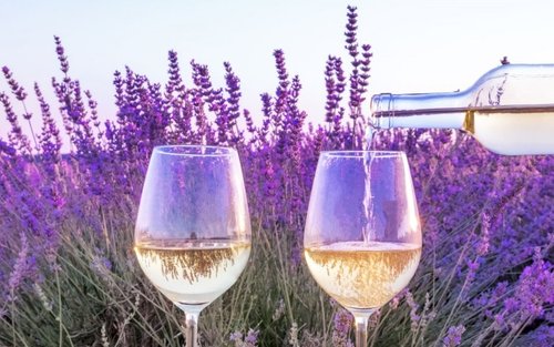Provence Half Day Wine Tour from Aix en Provence