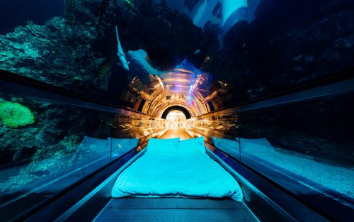 Kenting: Sleepover Experience at National Museum of Marine Biology and Aquarium 