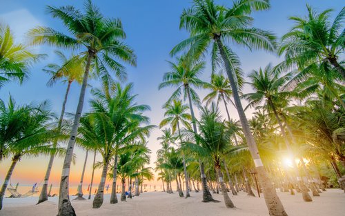 Oceanica Resort Panglao with South Farm Day Use