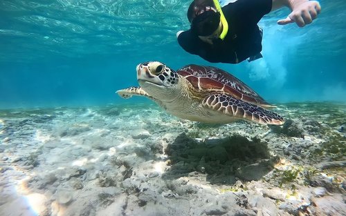 Gili Islands Must-See Attractions, Location & Reviews