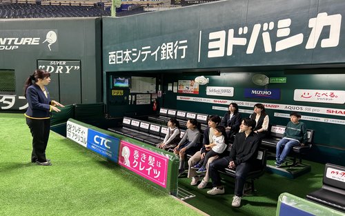 福岡軟銀鷹MIZUHO PayPay巨蛋體驗