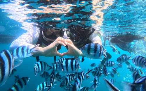 오키나와 푸른동굴 보트 스노쿨링 (사진촬영 전송 무료 / 후기 맛집 )