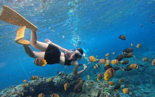 Top 5 Sea Destinations for Snorkeling and Spectacular Underwater Views
