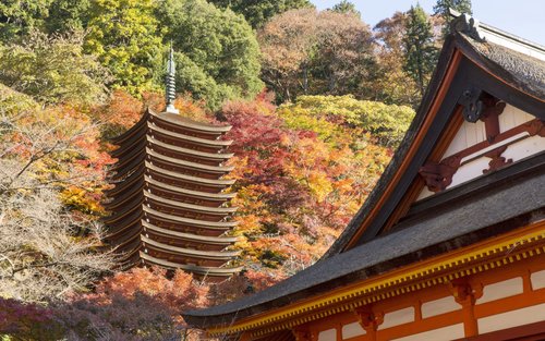 大阪奈良公園及赤目四十八瀑布一日遊（連談山神社）