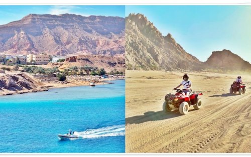 Sharm El Sheikh Desert & Sea Half-Day Adventure