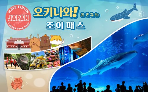 오키나와 조이 패스 (츄라우미 수족관, DMM 수족관 옵션)